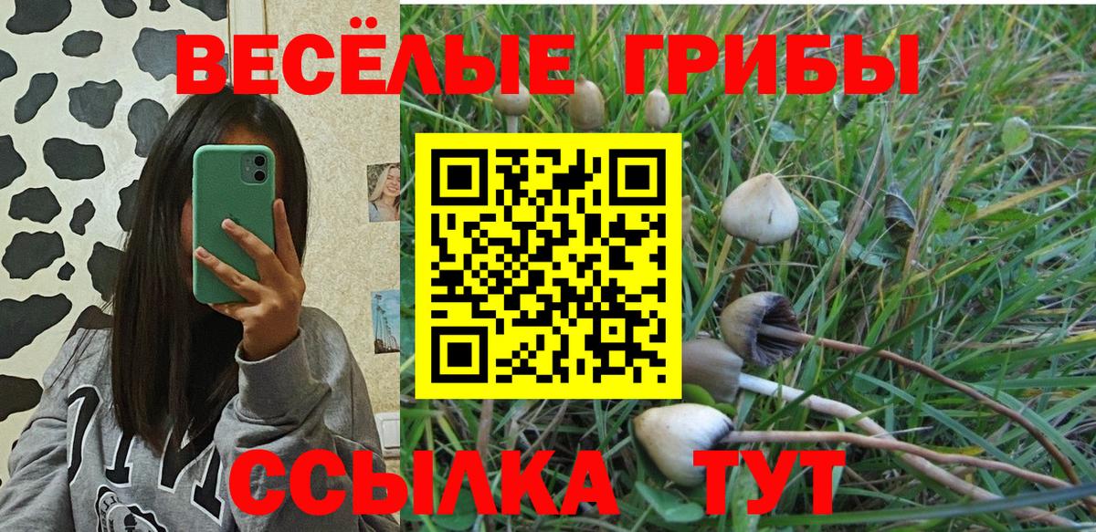 Псилоцибиновые грибы Cubensis Ухта