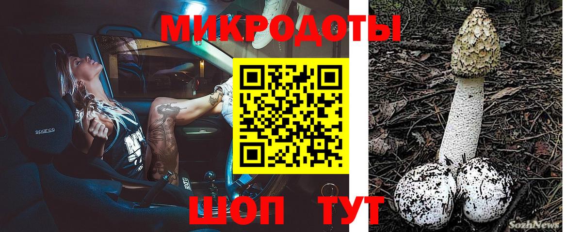 Галлюциногенные грибы Cubensis  Вход с VPN  Ухта 